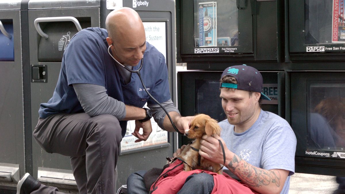 https cdn.cnn .com cnnnext dam assets 200224194016 02 veterinarian homeless animals california trnd