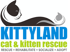 I intended to donate my vehicle to Kittyland, which received 3x as much as ...