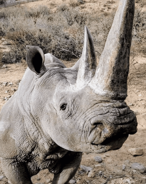 Out of Africa Wildlife Sanctuary