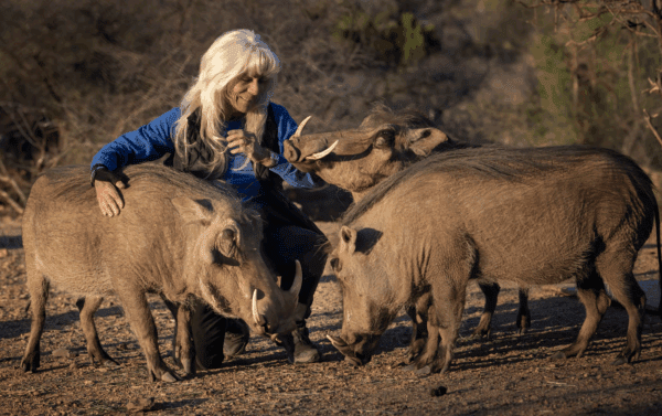 Out of Africa Wildlife Sanctuary